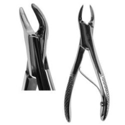 Root Forcep German #300