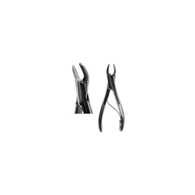 Root Forcep German #300