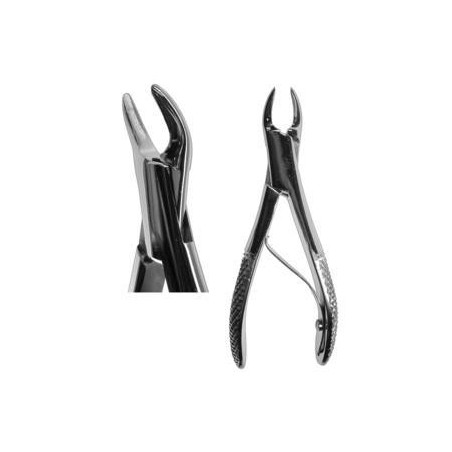 Root Forcep German #300