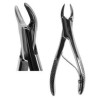 Root Forcep German #300