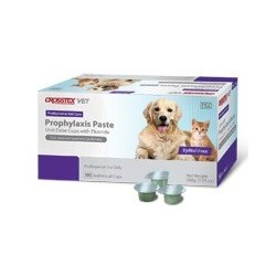 Prophy Paste Mint