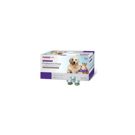 Prophy Paste Mint