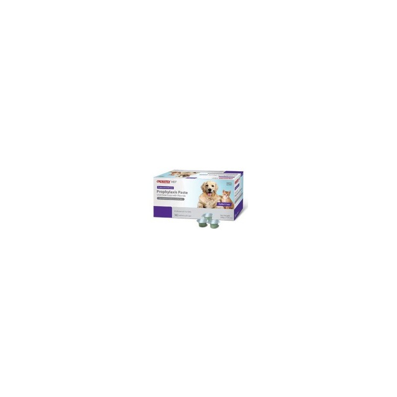 Prophy Paste Mint