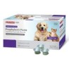 Prophy Paste Mint