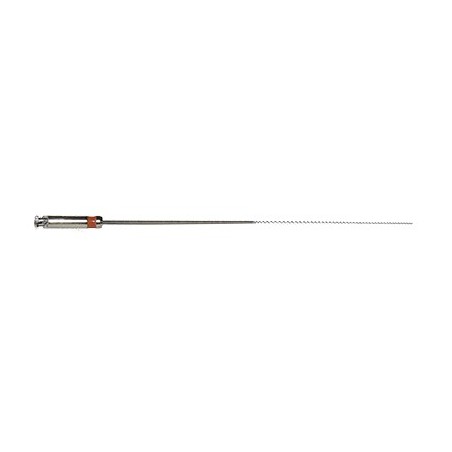 Lentulo spiral fillers (60mm) #25 (1ea.)