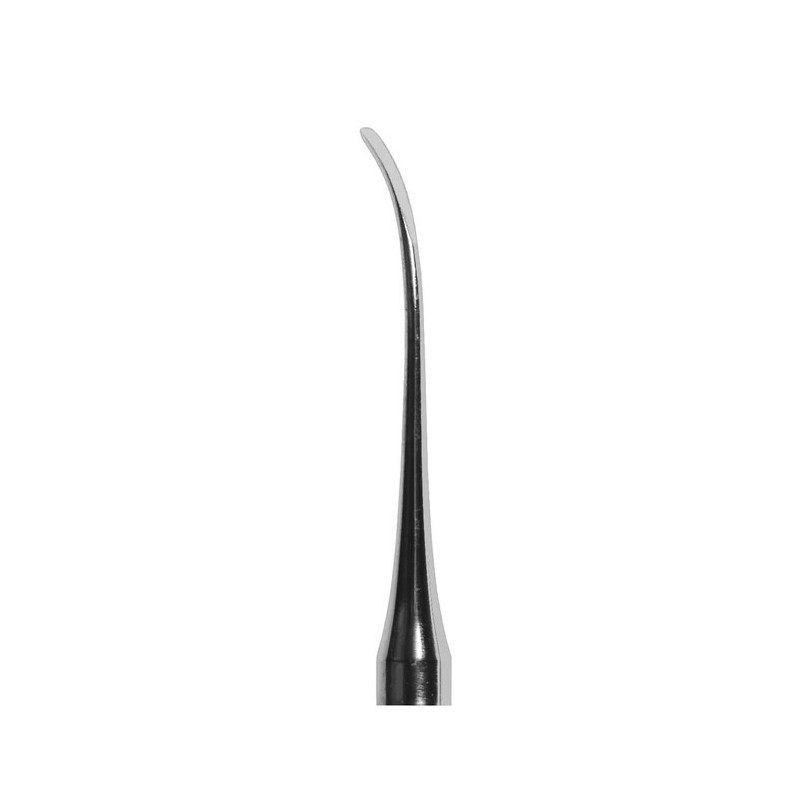 Root Elevator 1.3mm Outside Curved Tip