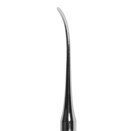 Root Elevator 1.3mm Outside Curved Tip