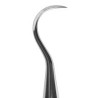 Towner/Jacquette Scaler