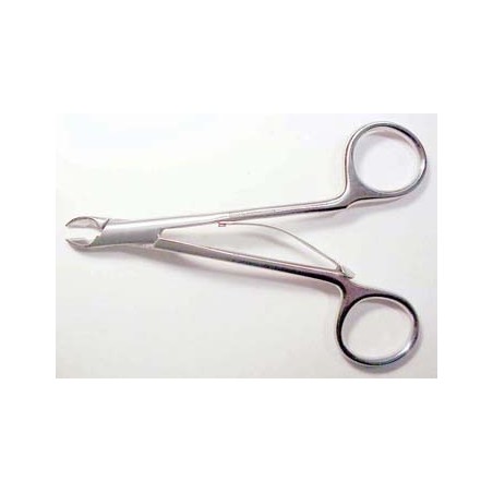 Chinchilla molar/premolar cutter
