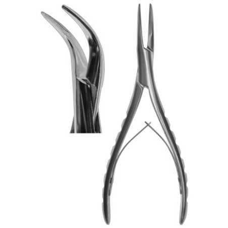 Root Forcep German #300